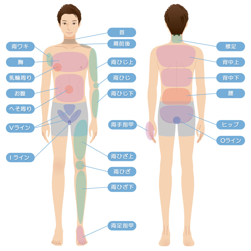メンズ脱毛専門店 ムッシュ KANAZAWA(金沢) 脱毛部位